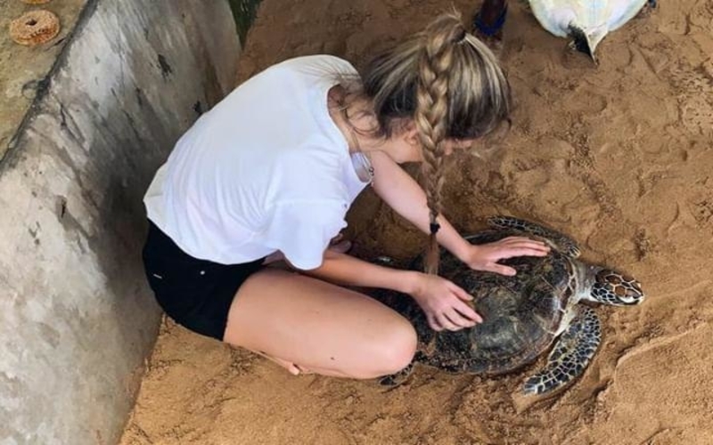 Best Sea Turtle Conservation Volunteer Programs | Go Discover Abroad